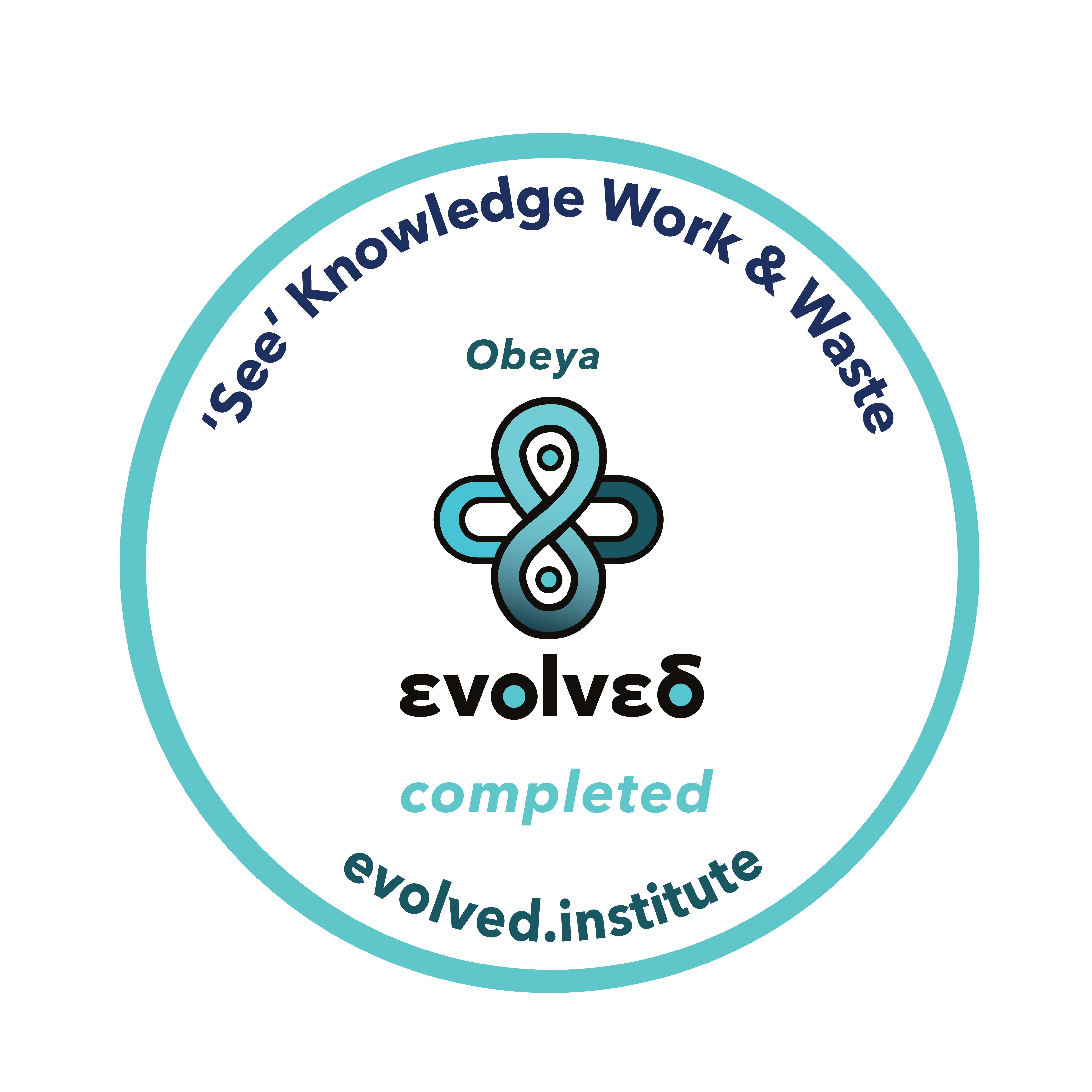 ‘See’––Support Evidence-Informed Decision-making with Obeya