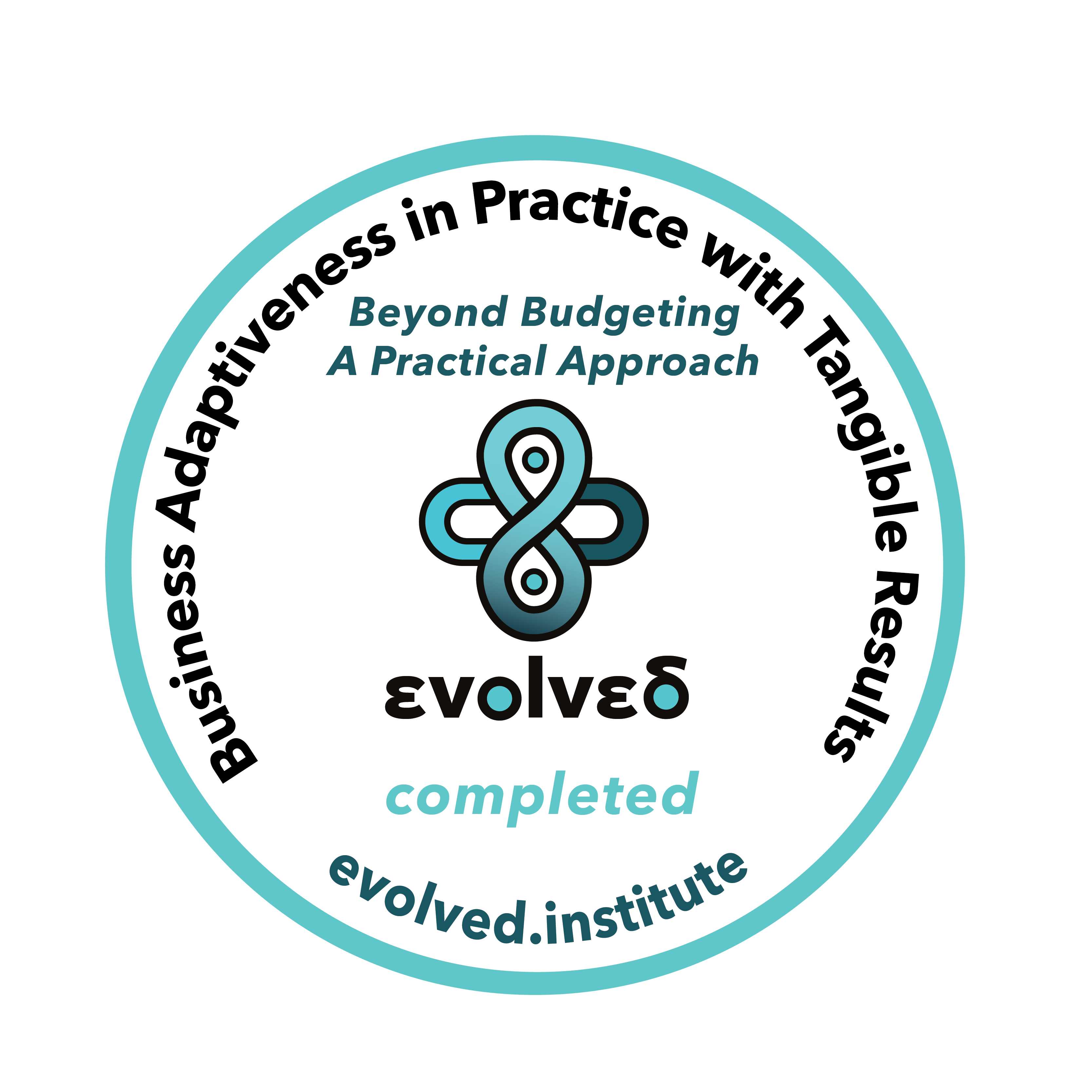 Beyond Budgeting: Business Adaptiveness in Practice